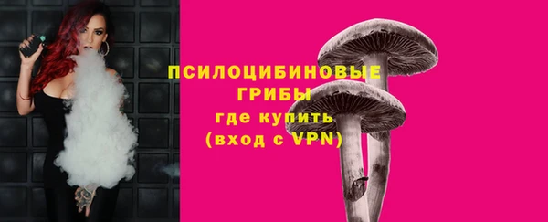 эйфоретик Алексин