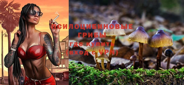 эйфоретик Алексин