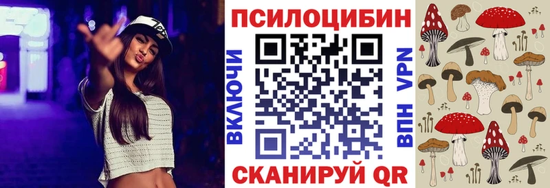 дарк нет наркотические препараты  Мичуринск  Псилоцибиновые грибы ЛСД 