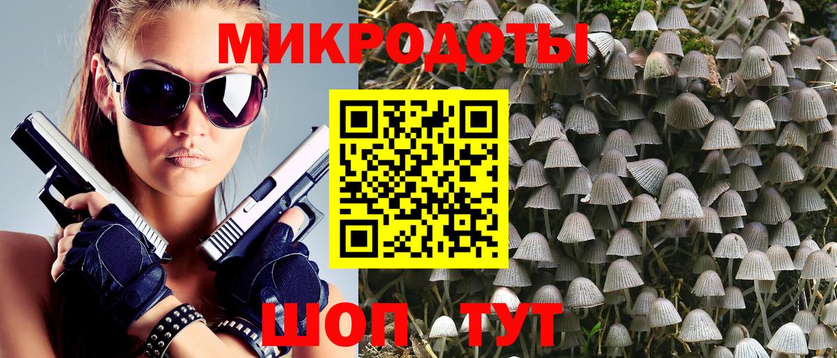 Галлюциногенные грибы Cubensis  Вход с VPN  Мичуринск 